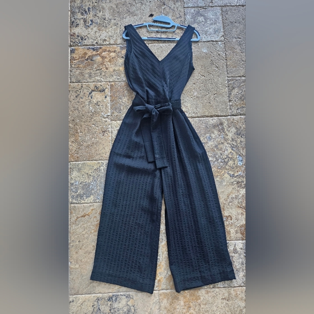 Everlane Black The City Striped Jumpsuit
